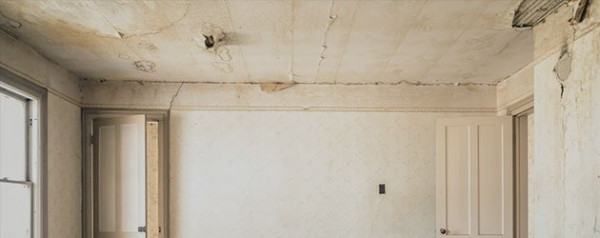 Certified Mold Remediation Services in Denver