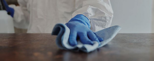 Professional Odor Removal Services in Denver, CO