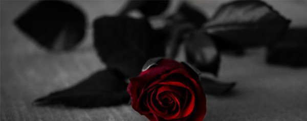 Compassionate Suicide Cleanup Services in Denver, CO